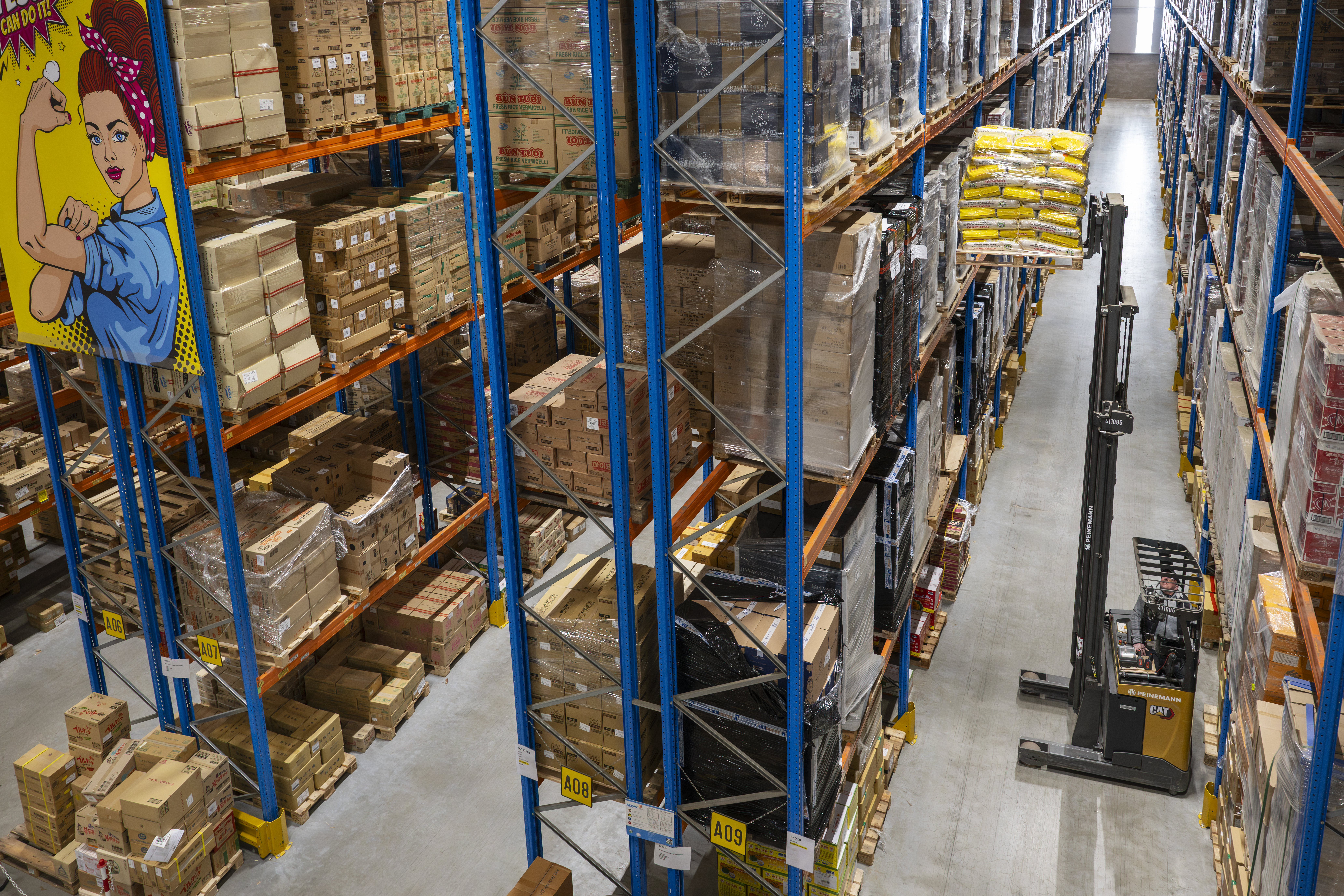 Logistics operations focused on accuracy and speed in distribution